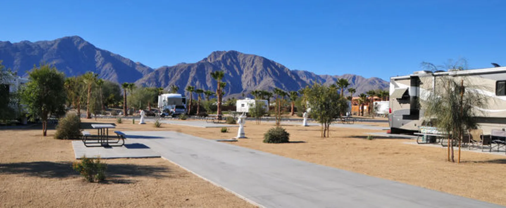The Springs at Borrego 