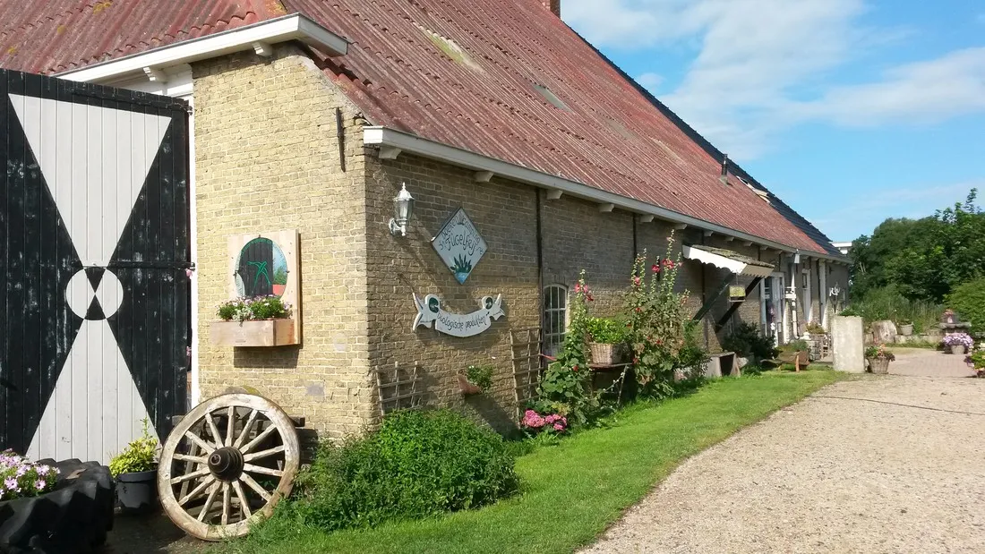 boerderijcamping-fugelfrij-in-hichtum-bolsward-b7xlf