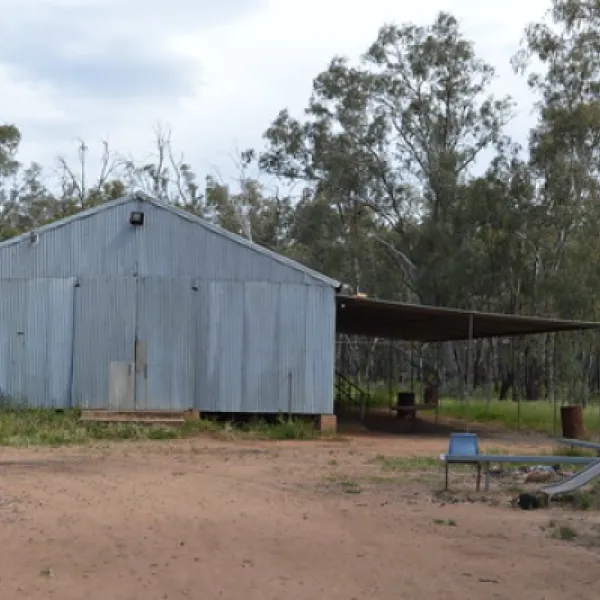 kiacatoo-hall-campground-kiacatoo-bzfww