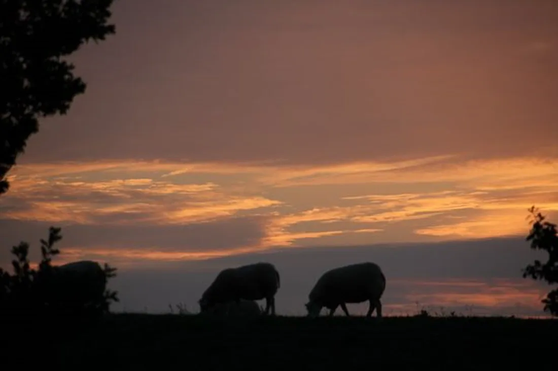 landschapscamping-kruytenburg-poortvliet-j4awq