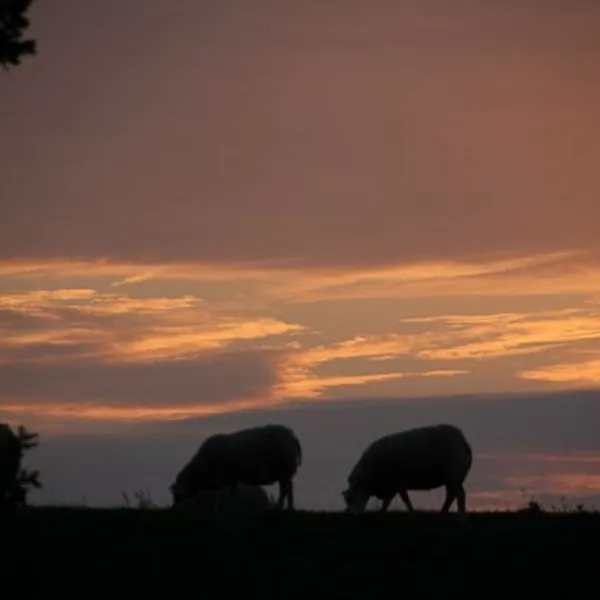 landschapscamping-kruytenburg-poortvliet-j4awq