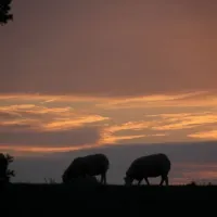landschapscamping-kruytenburg-poortvliet-j4awq