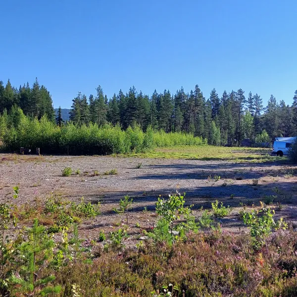nederhogen-vildmarkscenter-camping-ratan-amuzv