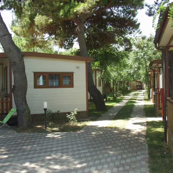 Pineto Beach