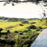 africamps-at-ingwe-n2-the-crags-jejpp