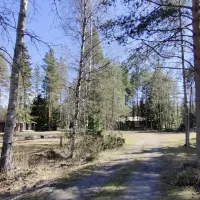 elainpuiston-matkaparkki-kalvia-dzorn