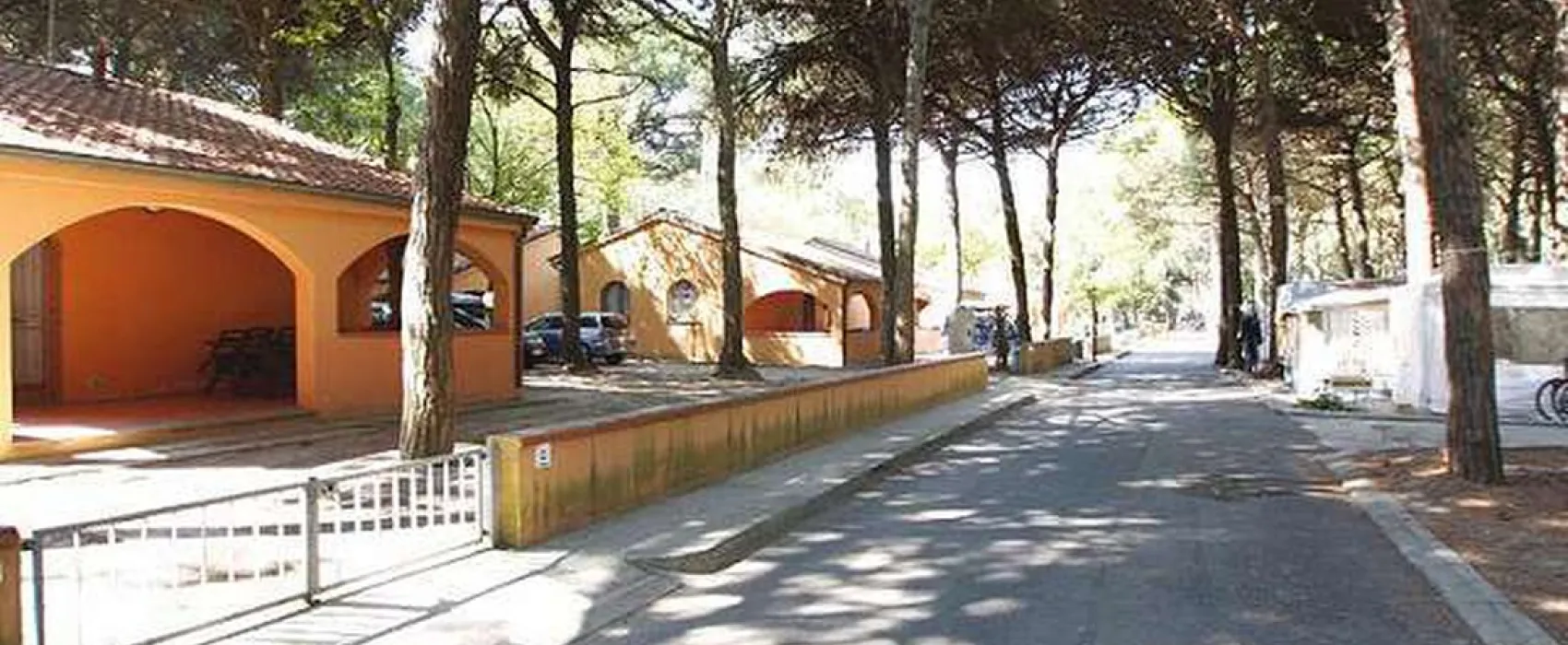 Mare e Pineta