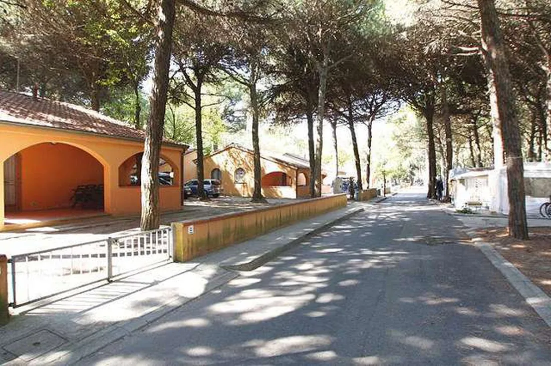 mare-e-pineta-lido-di-spina-adriatische-riviera-aasrl