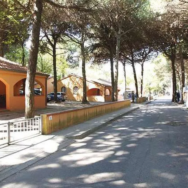Mare e Pineta