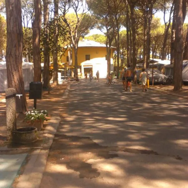 mare-e-pineta-lido-di-spina-adriatische-riviera-xqvxw