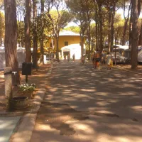 mare-e-pineta-lido-di-spina-adriatische-riviera-xqvxw
