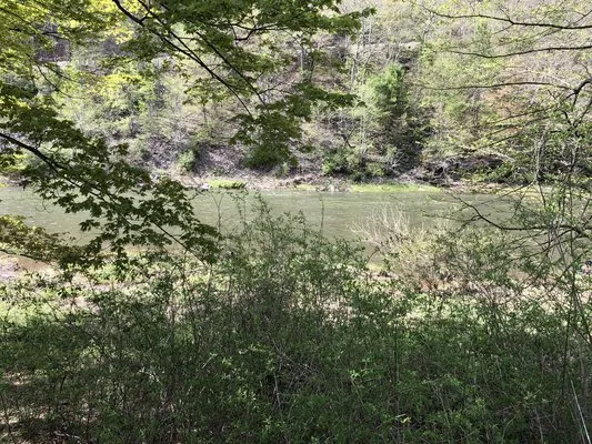 pettecote-junction-campground-cedar-run-ayy3e