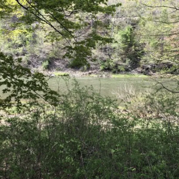 pettecote-junction-campground-cedar-run-ayy3e