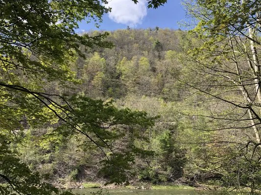 pettecote-junction-campground-cedar-run-gnrk9