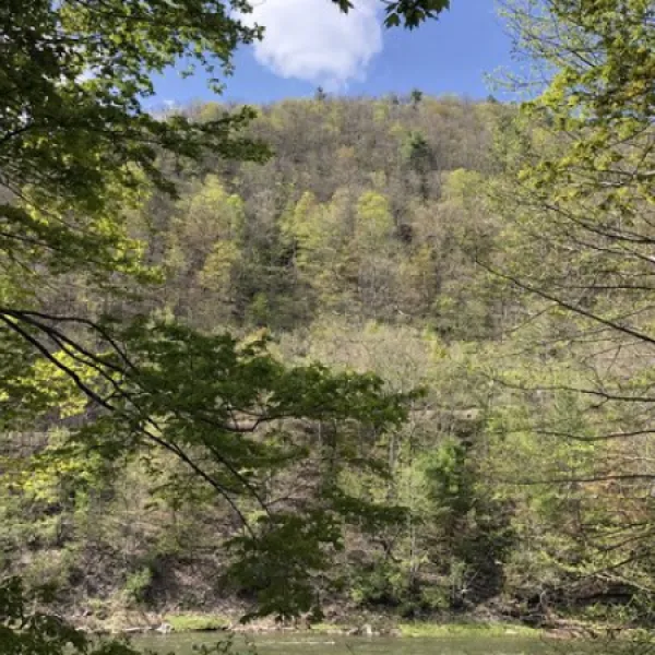 pettecote-junction-campground-cedar-run-gnrk9