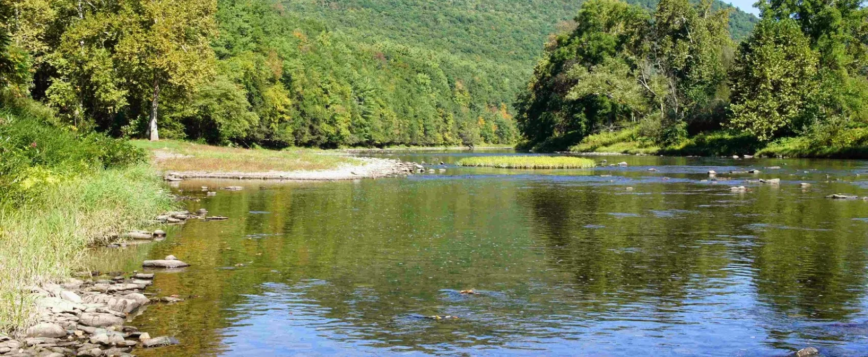 Pettecote Junction Campground