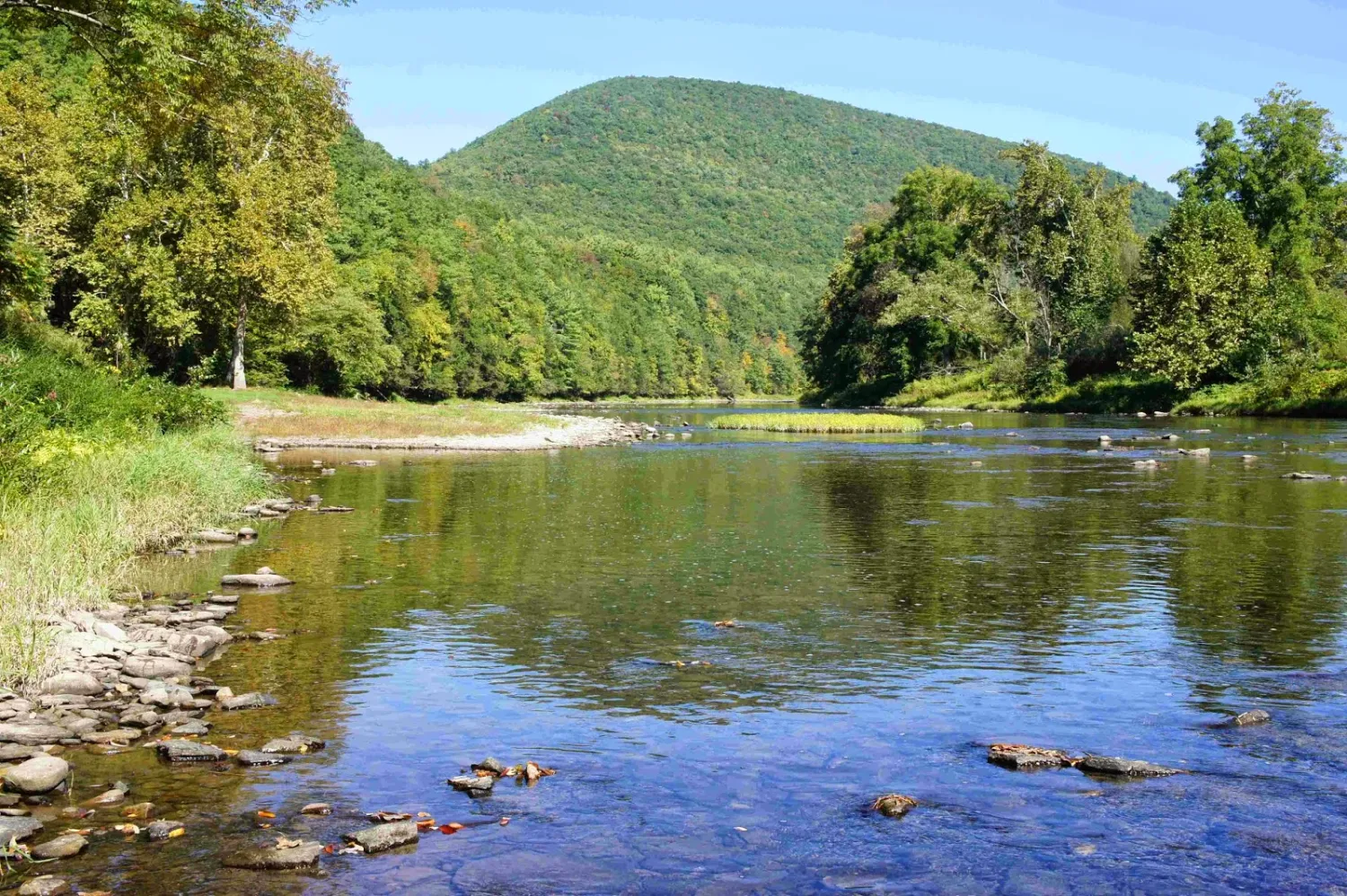 pettecote-junction-campground-cedar-run-ofocu