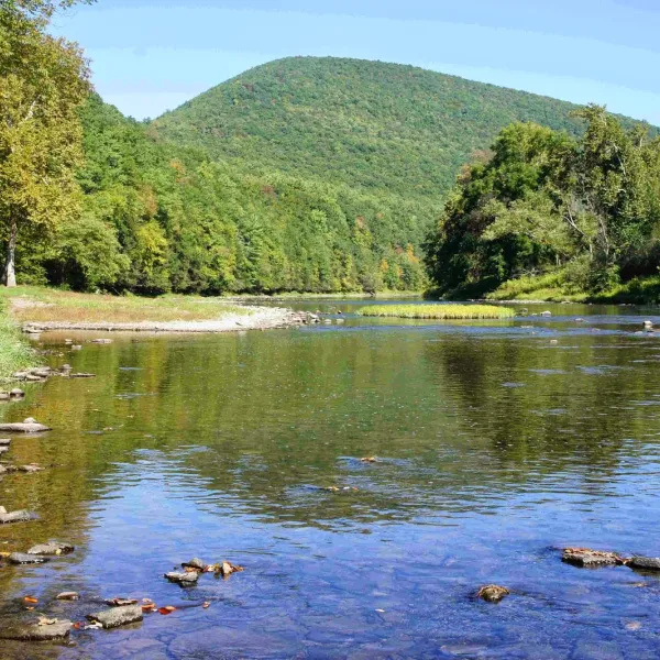 pettecote-junction-campground-cedar-run-ofocu