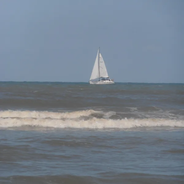 domaine-le-phare-le-portel-n1mjo