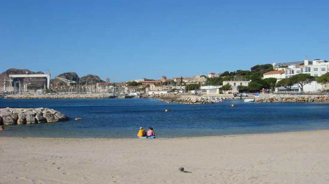 la-sauge-la-ciotat-wfwyh
