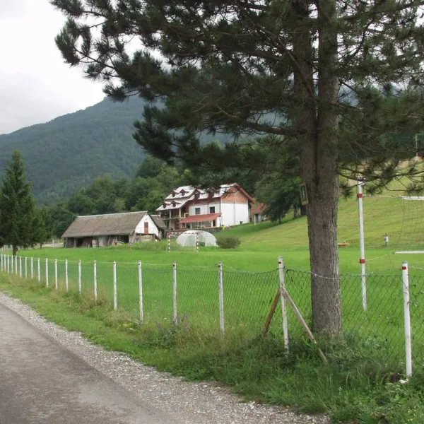 camp-rabrenovic-mojkovac-hznh4