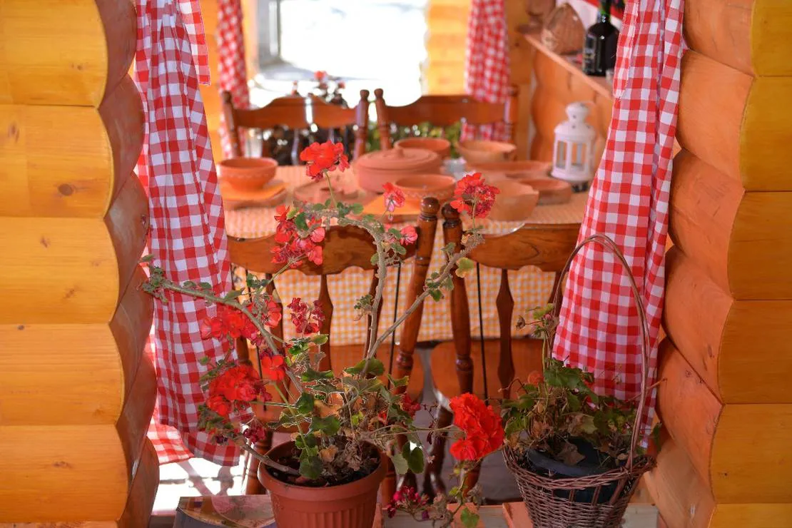 camp-rabrenovic-mojkovac-plaif