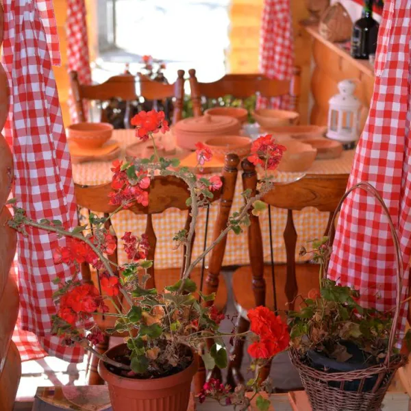 camp-rabrenovic-mojkovac-plaif