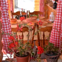 camp-rabrenovic-mojkovac-plaif