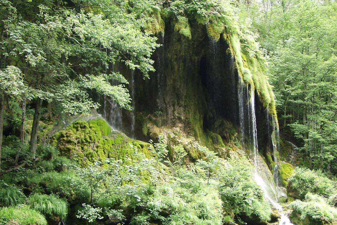 camp-rabrenovic-mojkovac-t8jad
