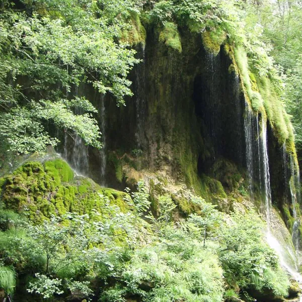 camp-rabrenovic-mojkovac-t8jad