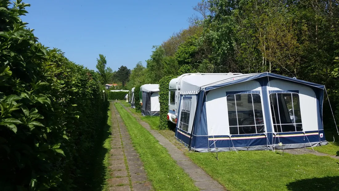 chaletpark-de-meypacht-burgh-haamstede-fyny6
