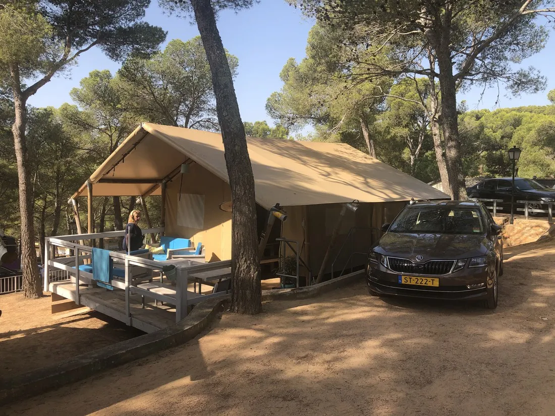 internacional-palamos-palamos-cfgur
