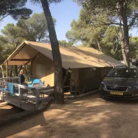 internacional-palamos-palamos-cfgur
