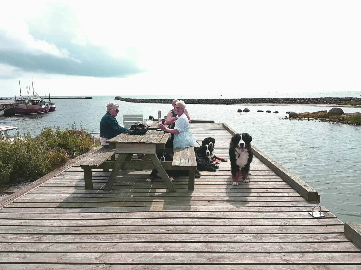 rodlix-vandrarhem-camping-tvaaker-qpmvj