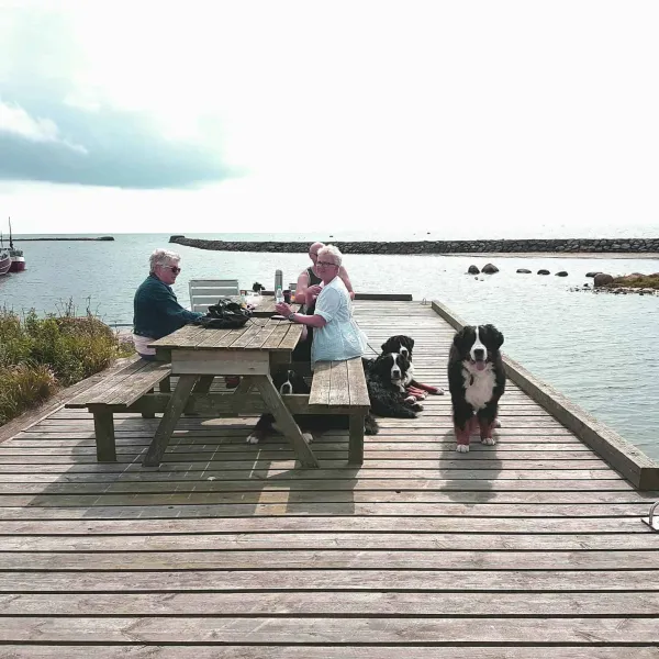 rodlix-vandrarhem-camping-tvaaker-qpmvj