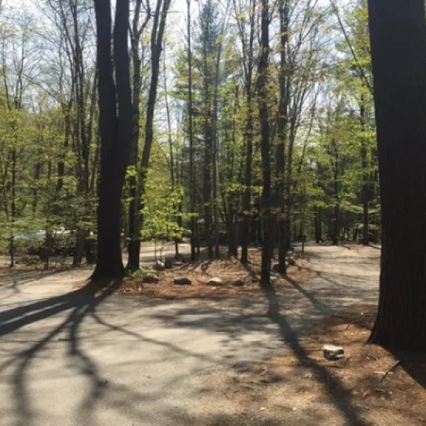 Mohawk Trail State Forest