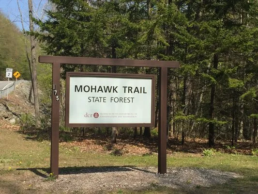 mohawk-trail-state-forest-charlemont-w6wqv