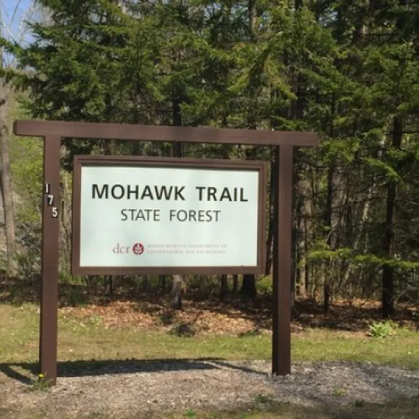 mohawk-trail-state-forest-charlemont-w6wqv