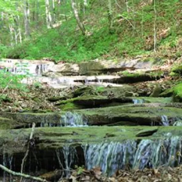 deep-valley-campground-allons-ghmm2