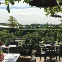 Hoeve de Bonte Kraai