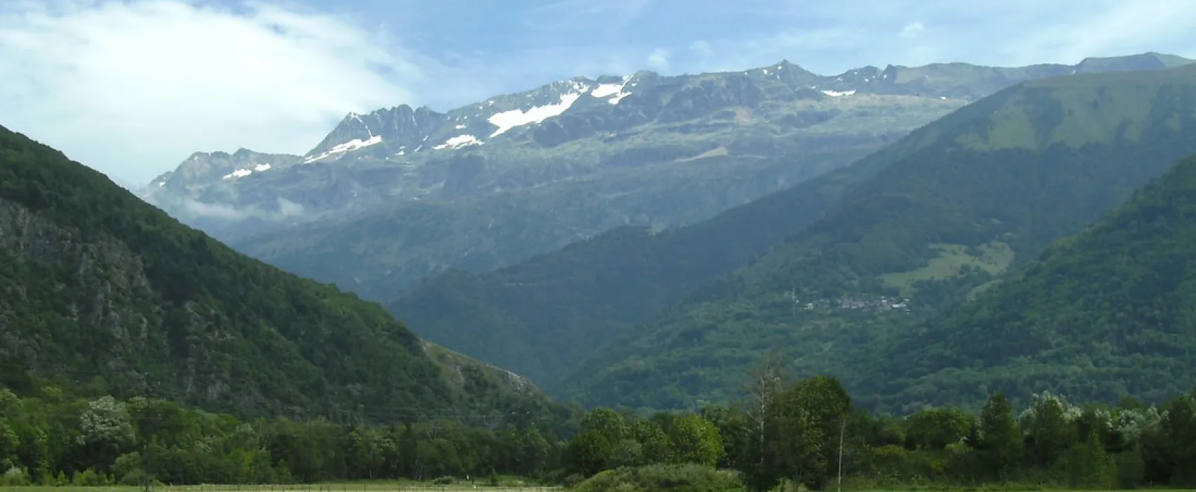 La Libellule