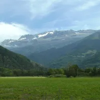 La Libellule