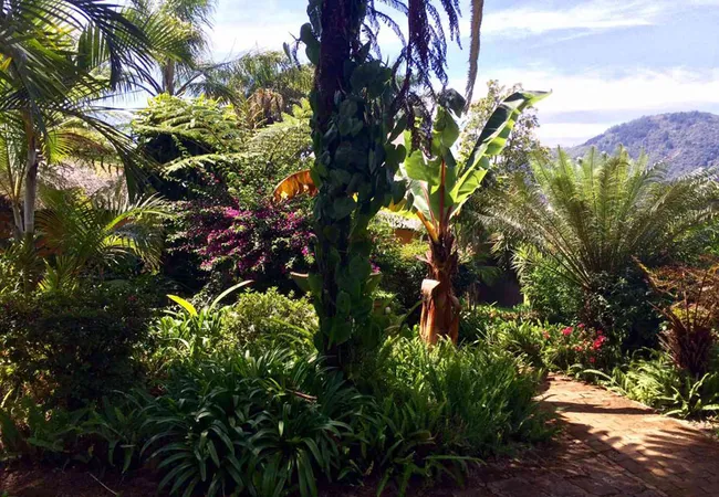 magoebaskloof-mountain-lodge-r71-main-road-magoebaskloof-nx0nc