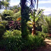 magoebaskloof-mountain-lodge-r71-main-road-magoebaskloof-nx0nc
