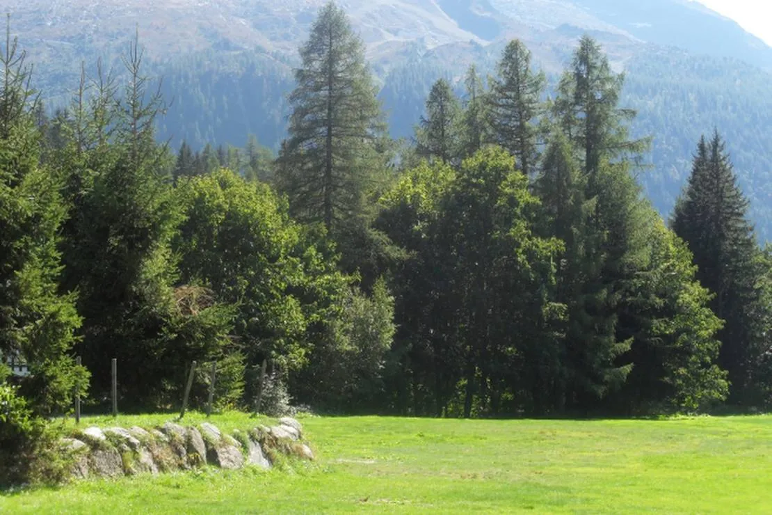 camping-les-frasserands-chalet-pierre-semard-chamonix-mont-blanc-jgqta