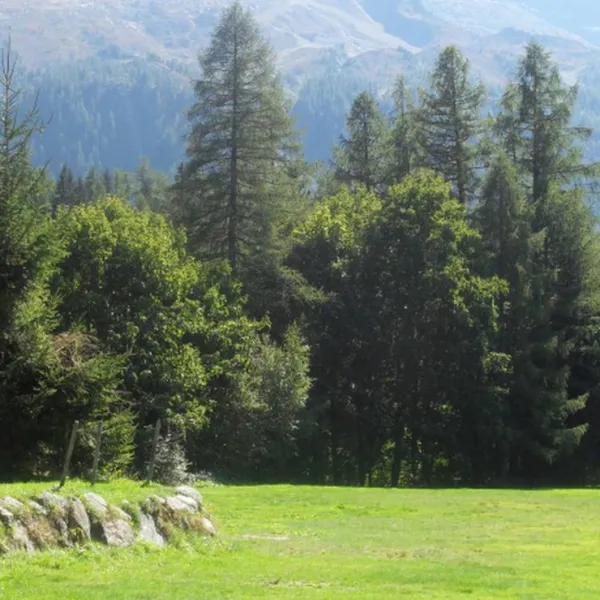 camping-les-frasserands-chalet-pierre-semard-chamonix-mont-blanc-jgqta
