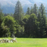 camping-les-frasserands-chalet-pierre-semard-chamonix-mont-blanc-jgqta