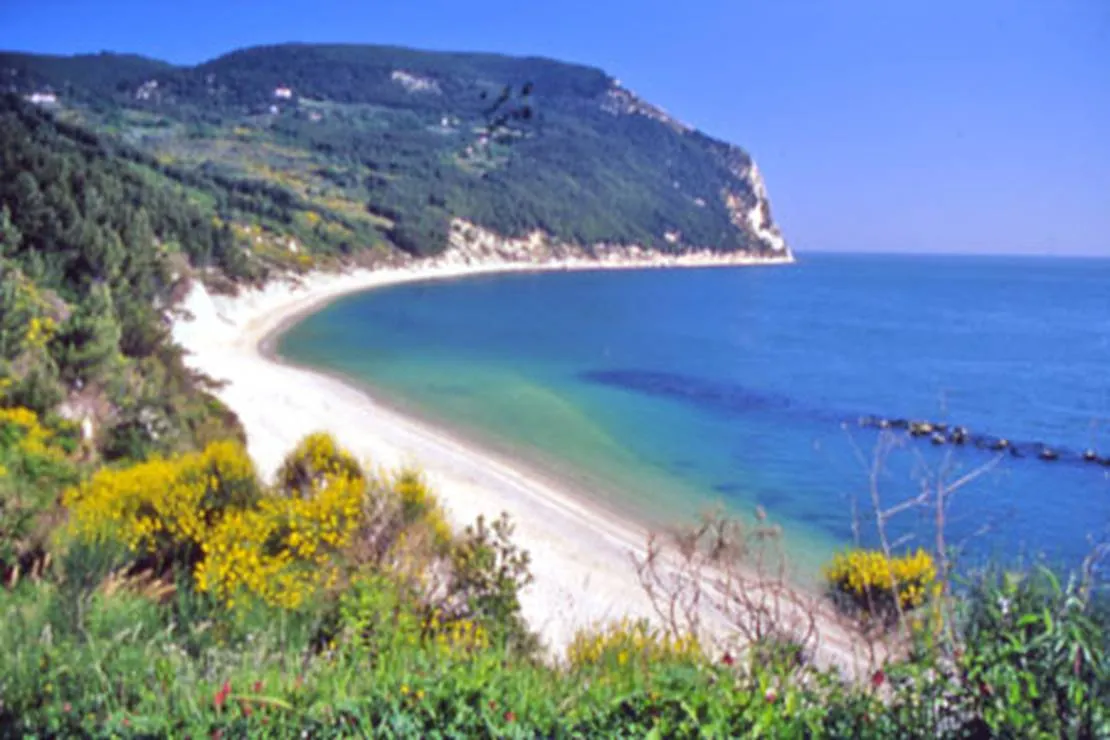 camping-village-internazionale-sirolo-9hse7