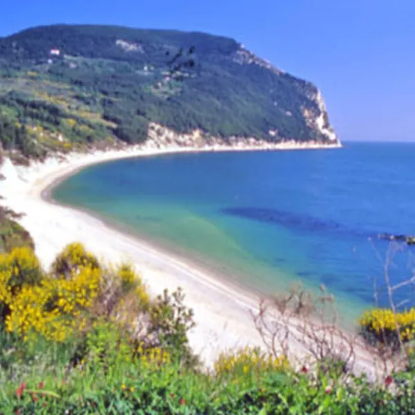 camping-village-internazionale-sirolo-9hse7