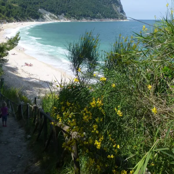 camping-village-internazionale-sirolo-hy1wz